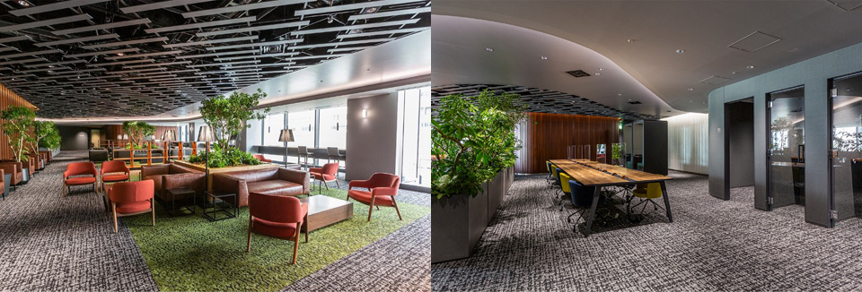 緑と開放感を取り入れた大阪梅田ツインタワーズ・サウスの共用ワークラウンジ