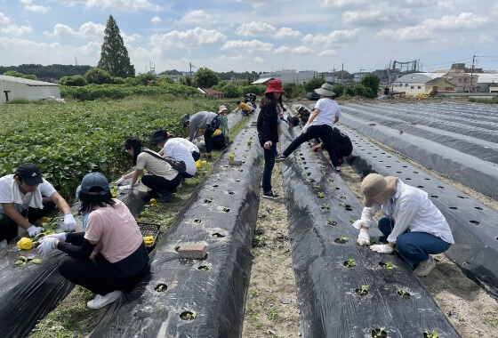 阪急阪神ワーカーズサービスサークル活動の様子